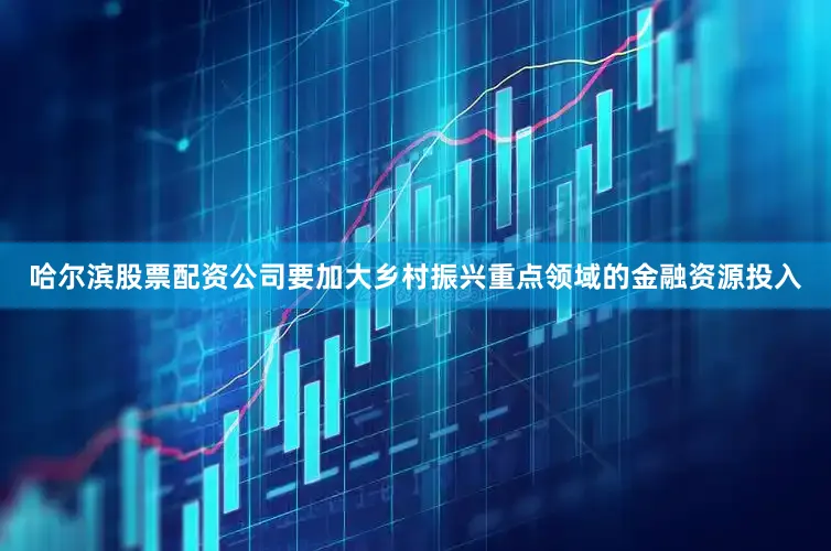 哈尔滨股票配资公司要加大乡村振兴重点领域的金融资源投入