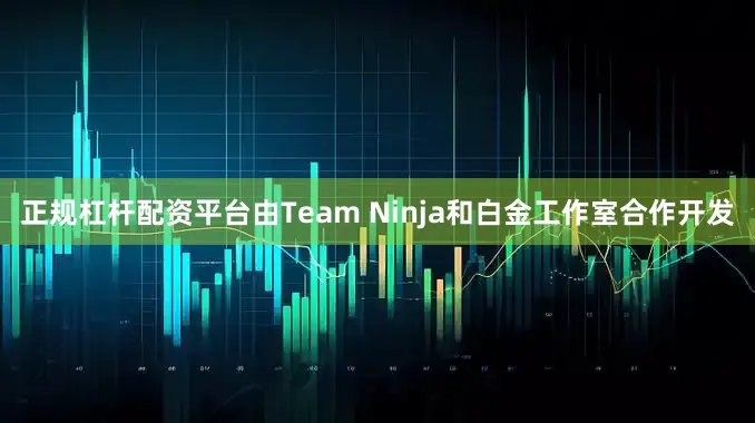 正规杠杆配资平台由Team Ninja和白金工作室合作开发