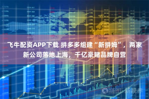 飞牛配资APP下载 拼多多组建“新拼姆”，两家新公司落地上海，千亿豪赌品牌自营