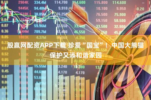 股赢网配资APP下载 珍爱“国宝”！中国大熊猫保护又添和谐家园