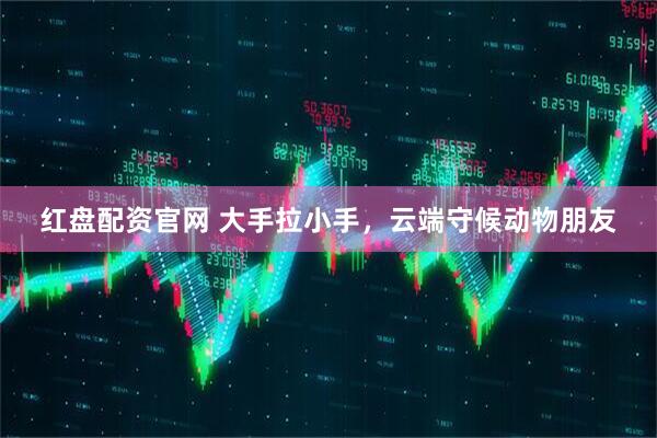红盘配资官网 大手拉小手，云端守候动物朋友