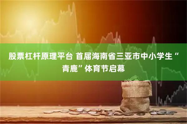 股票杠杆原理平台 首届海南省三亚市中小学生“青鹿”体育节启幕