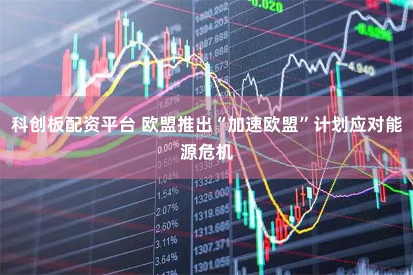 科创板配资平台 欧盟推出“加速欧盟”计划应对能源危机